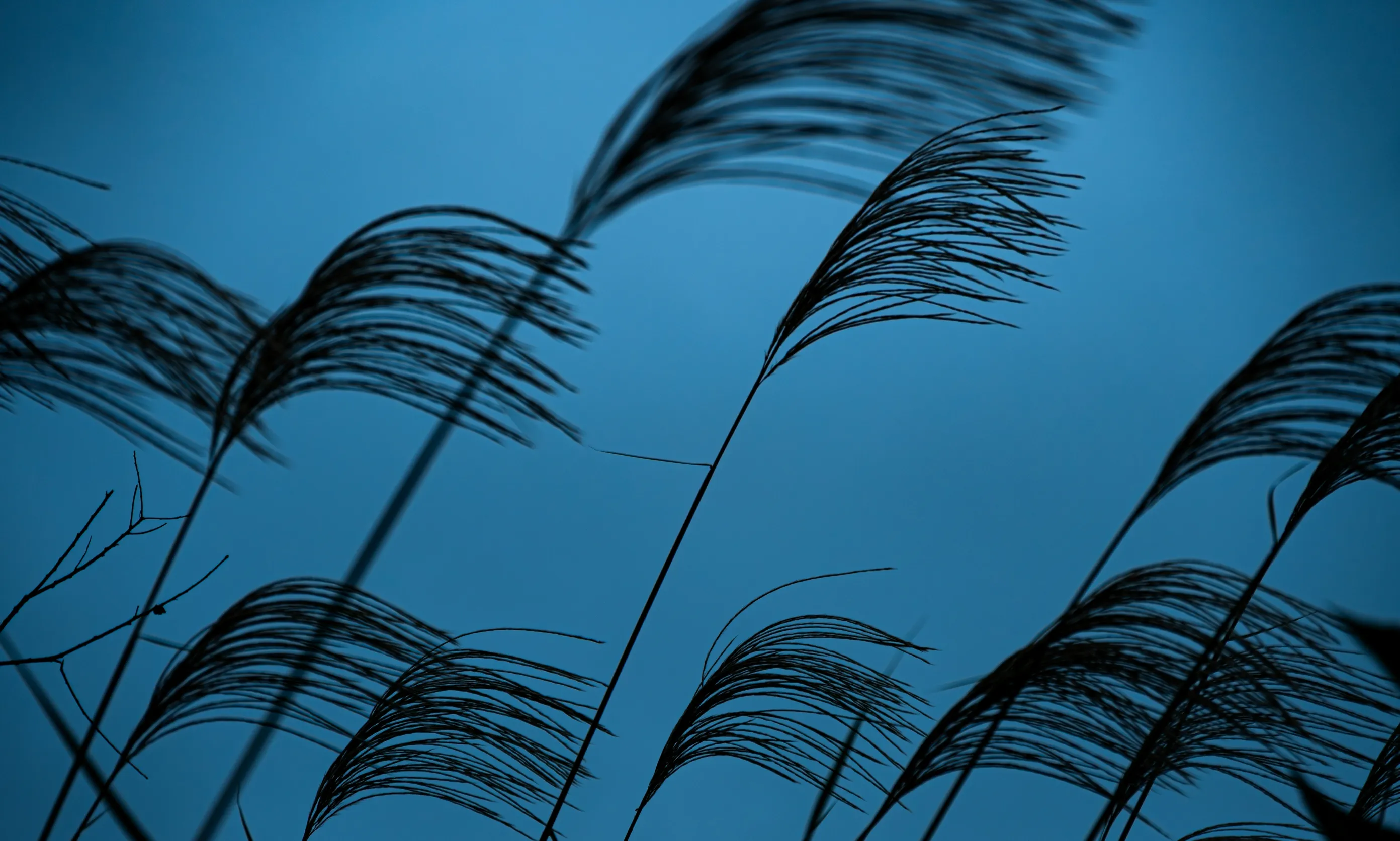 想到什么写什么